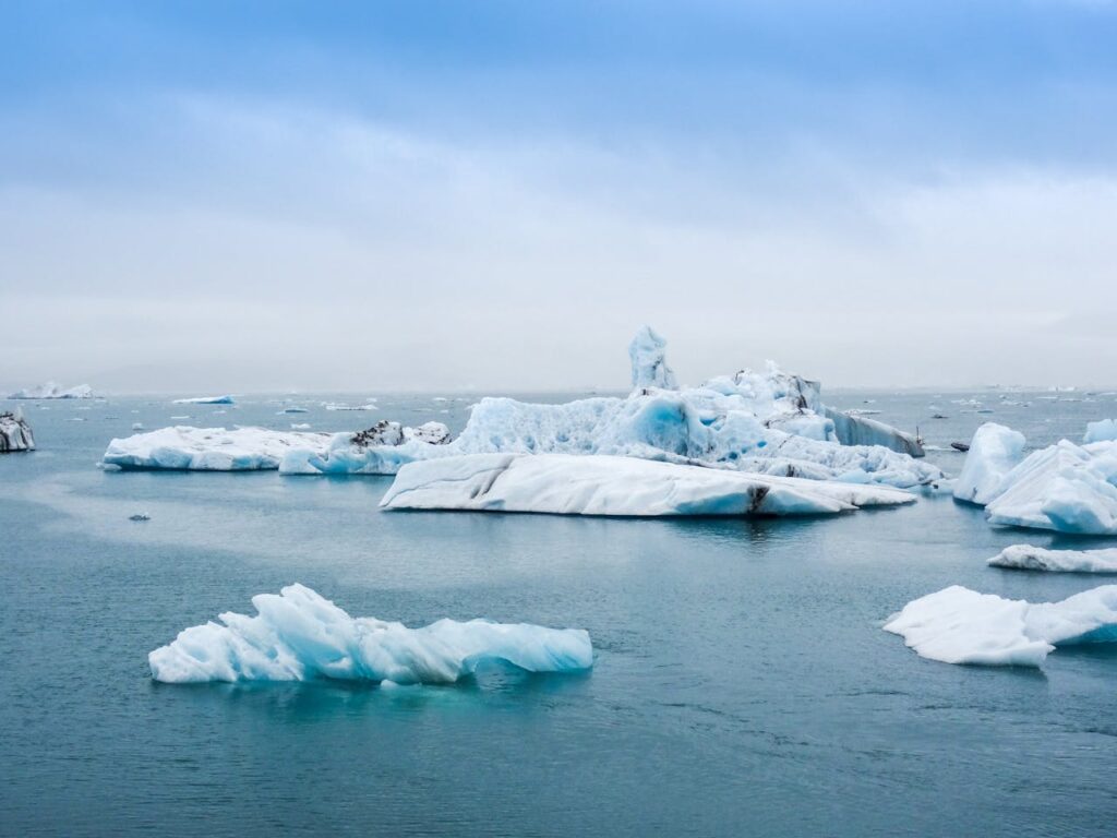 Cambio Climático en el Dia Mundial del Medio Ambiente 2024