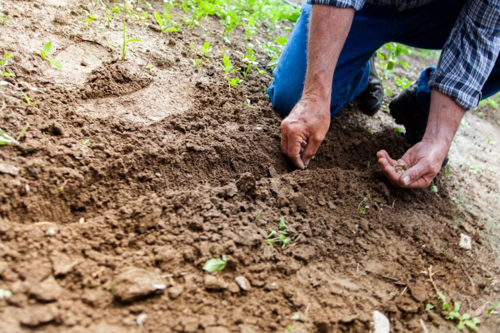 Conmemoración del Dia Mundial del Medio Ambiente 2024